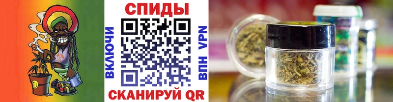 Купить где  Аркадак  Бутират 99% 