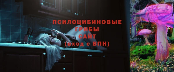 амф Бородино