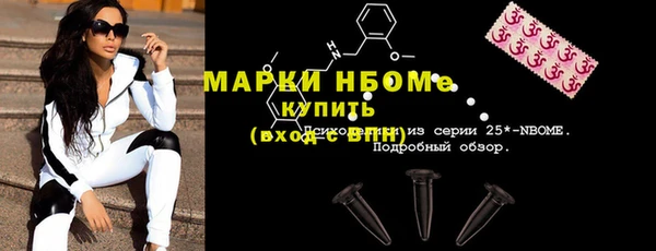 амф Бородино