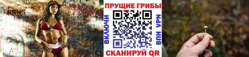 Галлюциногенные грибы ЛСД Аркадак